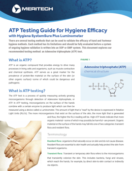 ATP Testing Guide Preview