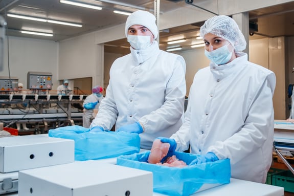 Protein manufacturers, meat processing facility, Two meat processing employees handling chicken in a meat processing facility 