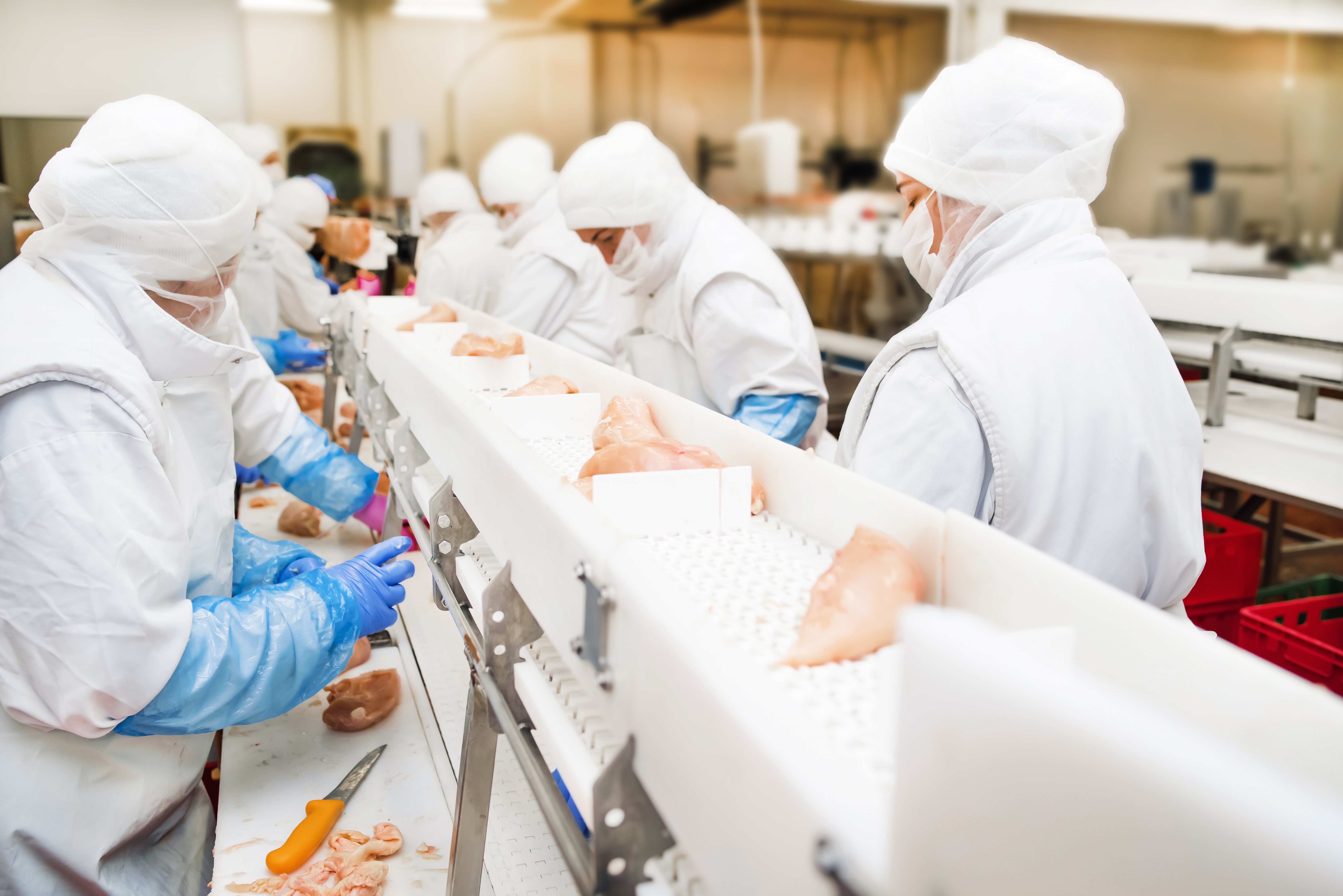 Employees at meat manufacturing facility