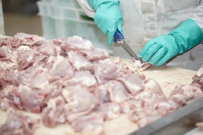 free of salmonella chicken recall poultry processing in food industry