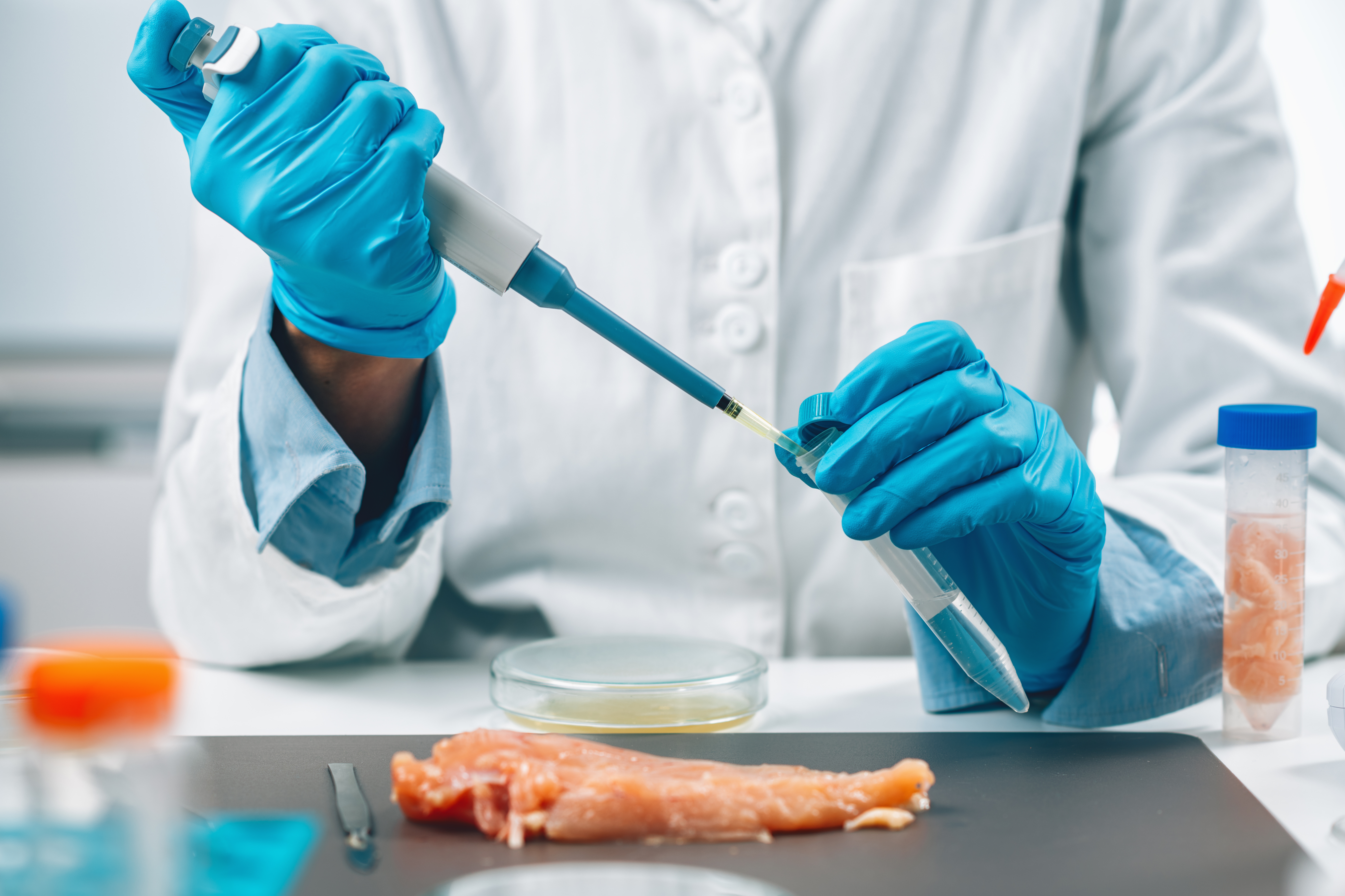 Food Safety Worker Tests Meat for Salmonella and Listeria
