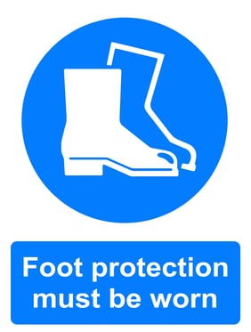 Infographic of Captive Footwear Program 