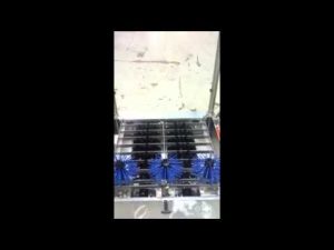 MBW 3000 Automatic Boot Scrubber