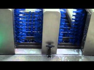 MBW 9000 Boot Scrubber Station